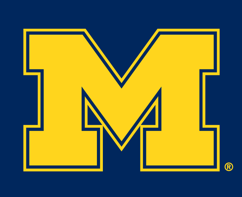 Michigan Wolverines 1996-Pres Alternate Logo v3 diy fabric transfer